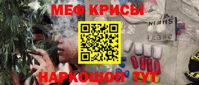 тгк Бердск