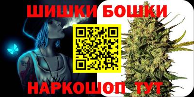тгк Бердск