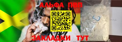 тгк Бердск