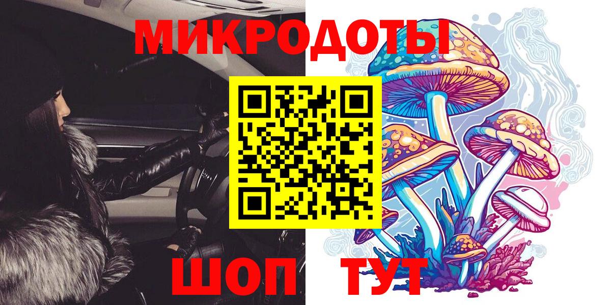 Псилоцибиновые грибы Cubensis Новый Уренгой