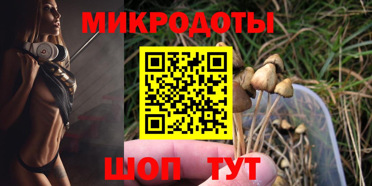 как найти закладки  Галлюциногенные грибы мицелий  Вход с VPN  Новый Уренгой  Галлюциногенные грибы Psilocybine cubensis 